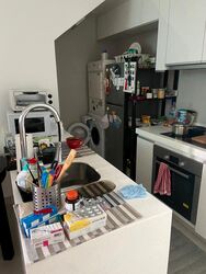 The Rochester Residences (D5), Apartment #345625981